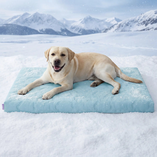 Lesure Cooling Orthopedic Dog Mat - Q-Max>0.5 Cooling Technology with Washable Cover and Non-Slip Egg Crate Foam for Extra Large Dogs
