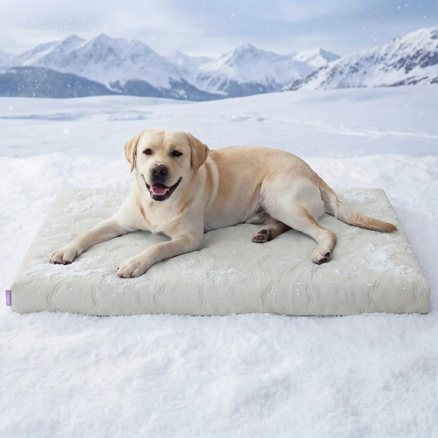 Lesure Cooling Orthopedic Dog Mat - Q-Max>0.5 Cooling Technology with Washable Cover and Non-Slip Egg Crate Foam for Extra Large Dogs