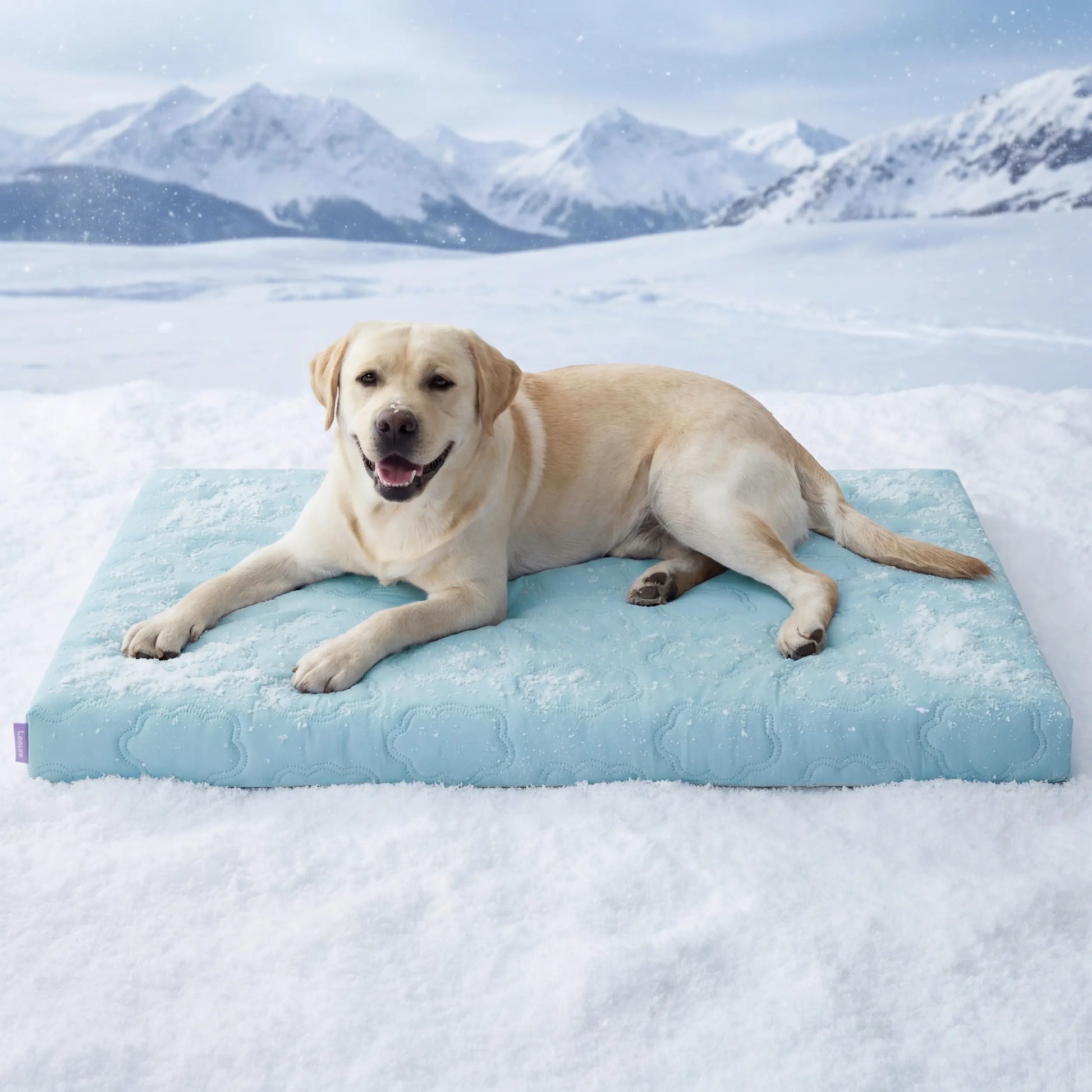Lesure Cooling Orthopedic Dog Mat - Q-Max>0.5 Cooling Technology with Washable Cover and Non-Slip Egg Crate Foam for Extra Large Dogs