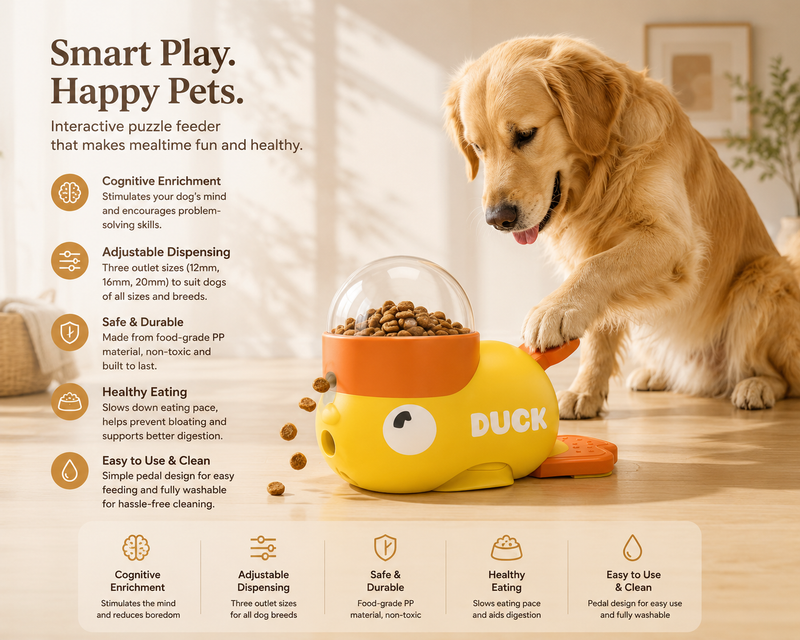 Interactive Duck Puzzle Feeder