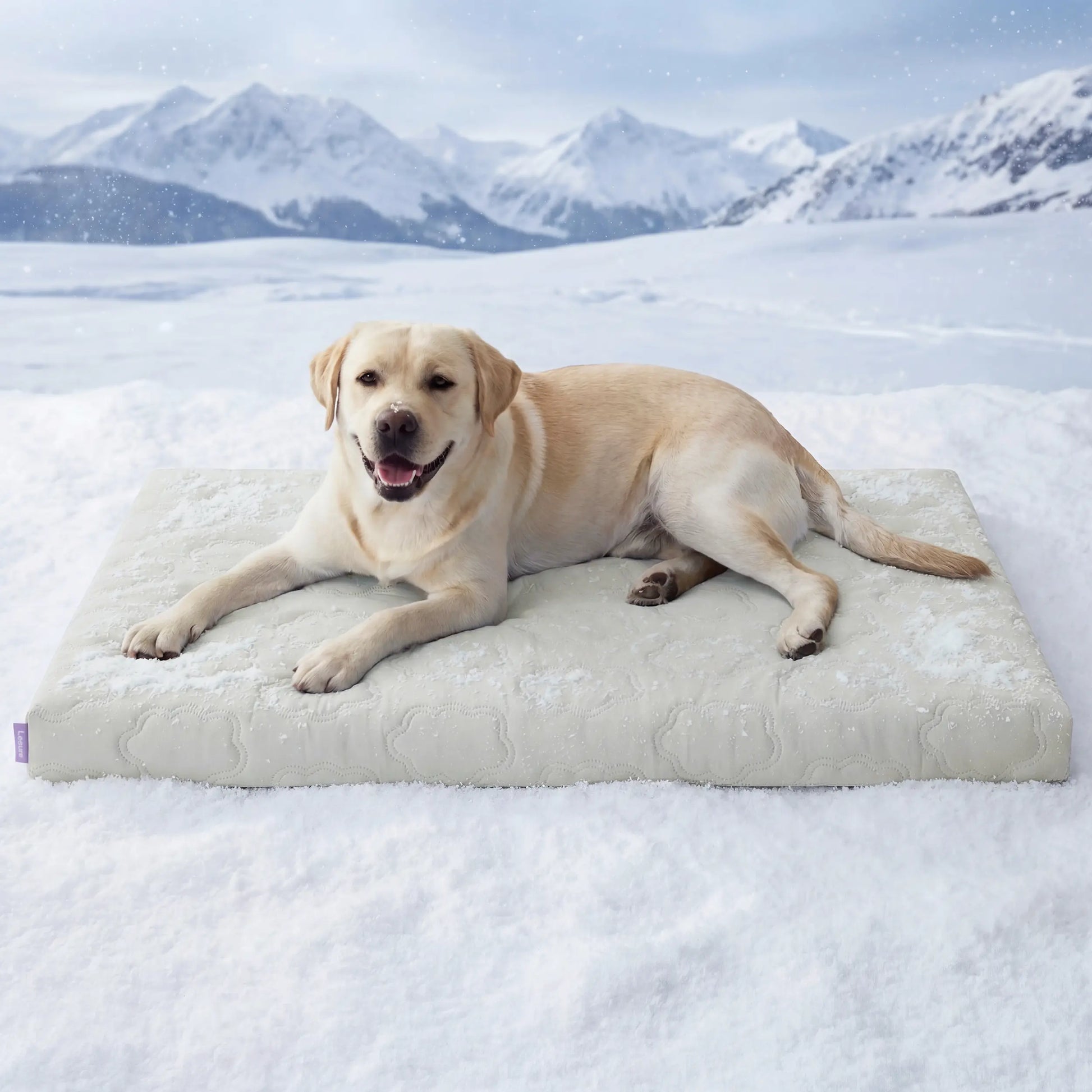 Lesure Cooling Orthopedic Dog Mat - Q-Max>0.5 Cooling Technology with Washable Cover and Non-Slip Egg Crate Foam for Extra Large Dogs