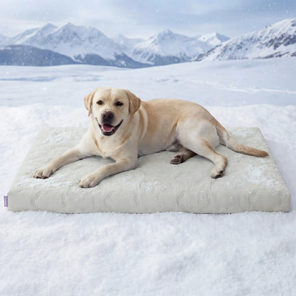 Lesure Cooling Orthopedic Dog Mat - Q-Max>0.5 Cooling Technology with Washable Cover and Non-Slip Egg Crate Foam for Extra Large Dogs