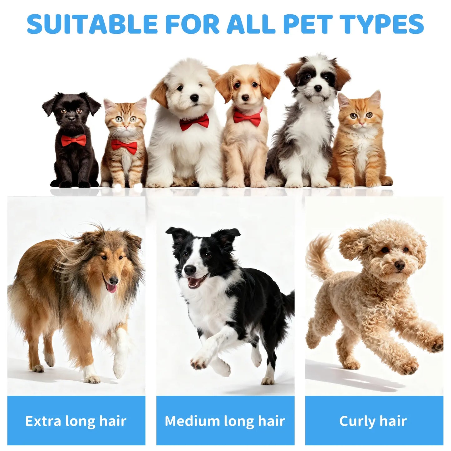 Revolutionize Your Pet Grooming with the Pawimood 5-In-1 Grooming Vacuum – Powerful 13000PA Suction, 2L Dust Capacity, and Complete Grooming Kit for Pet Owners!