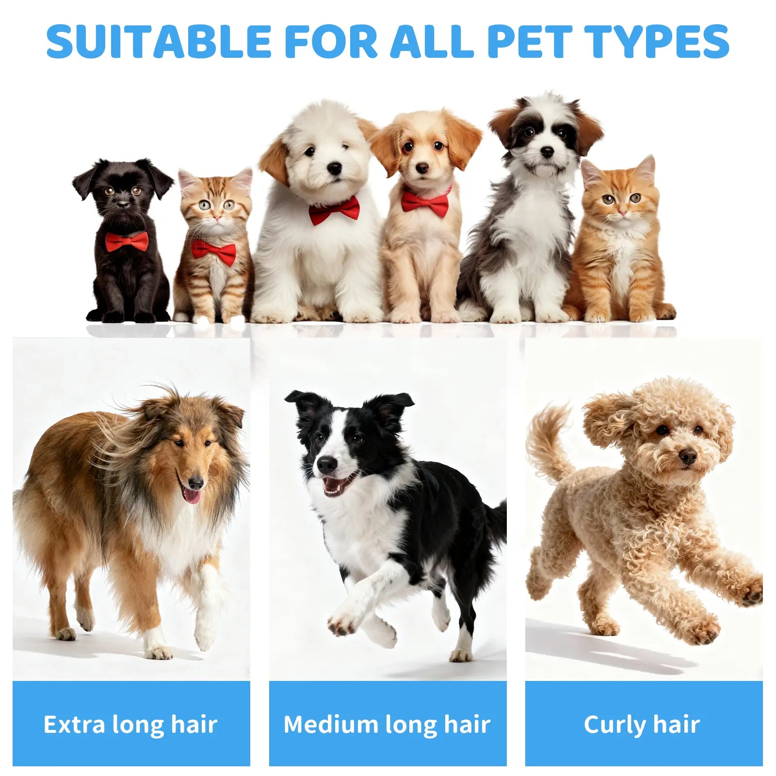 Revolutionize Your Pet Grooming with the Pawimood 5-In-1 Grooming Vacuum – Powerful 13000PA Suction, 2L Dust Capacity, and Complete Grooming Kit for Pet Owners!